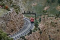 2021,12,05,074,DMRRC,Holly,Train,